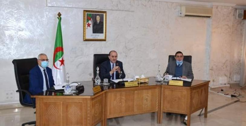 النسخة المصغرة