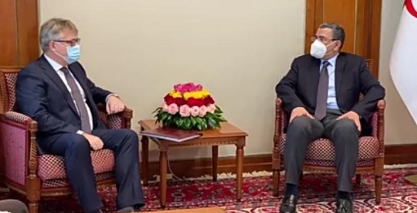 النسخة المصغرة