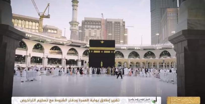 النسخة المصغرة