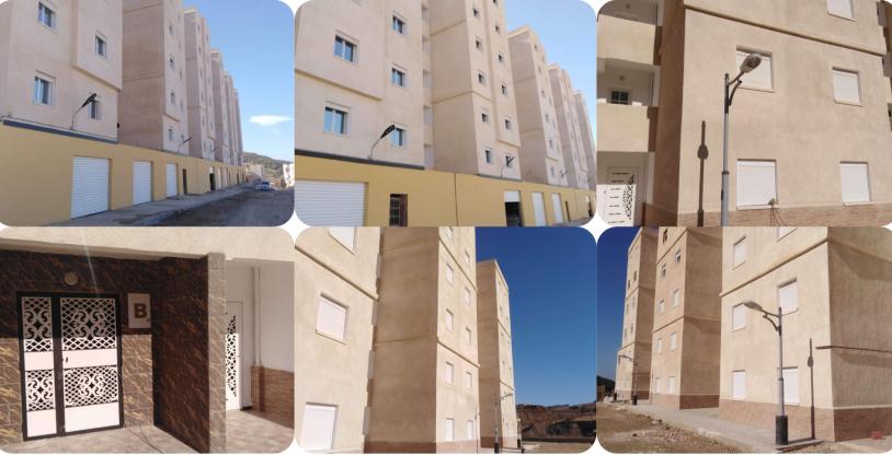 النسخة المصغرة