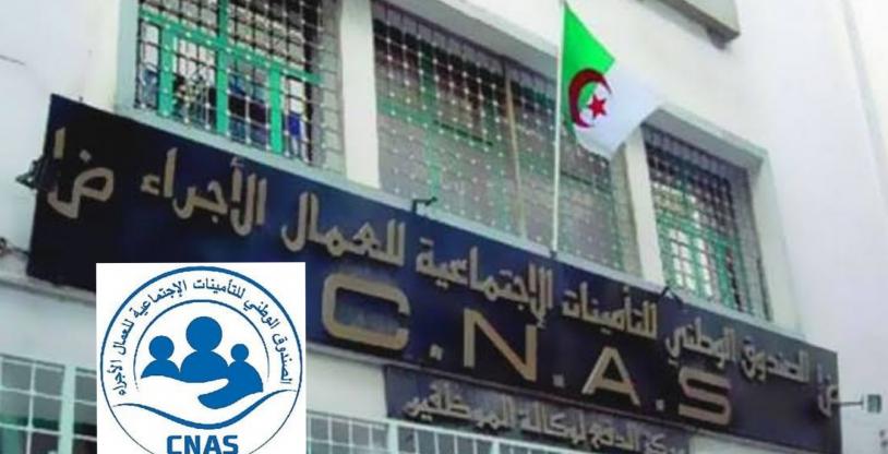 النسخة المصغرة