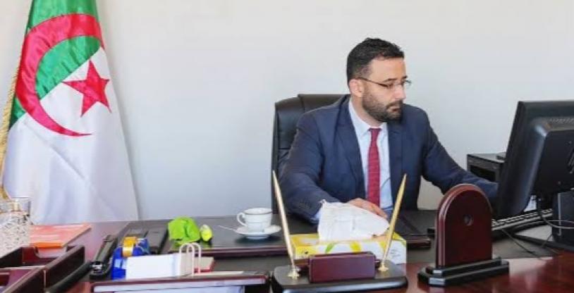 النسخة المصغرة