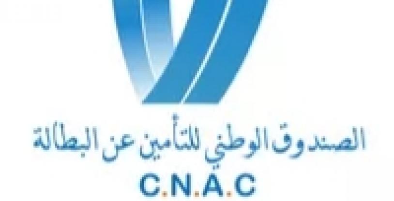 النسخة المصغرة
