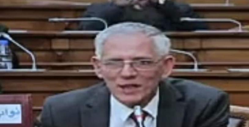 النسخة المصغرة