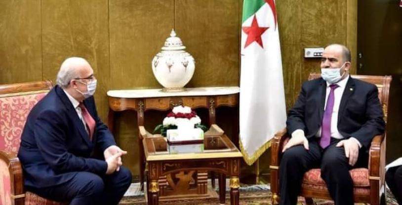 النسخة المصغرة