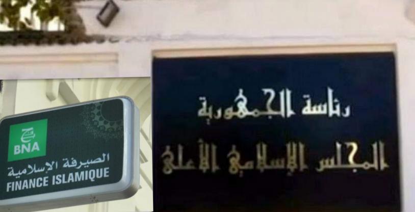 النسخة المصغرة