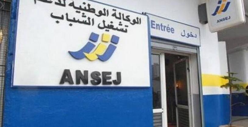 النسخة المصغرة