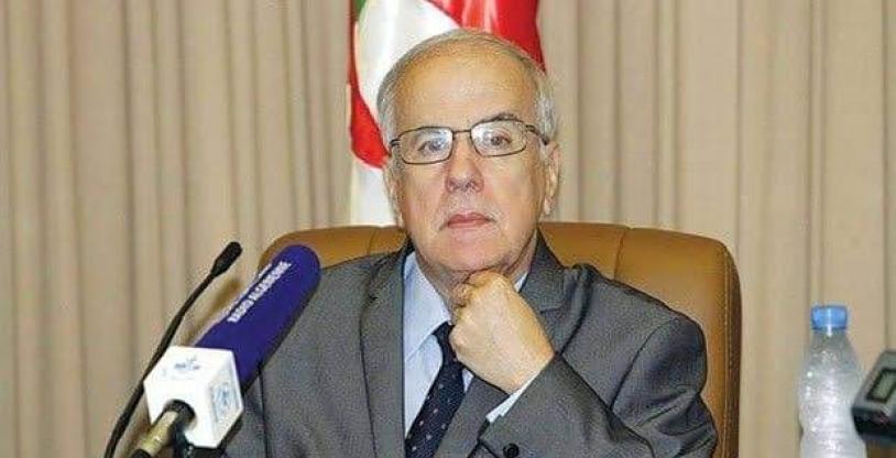 النسخة المصغرة