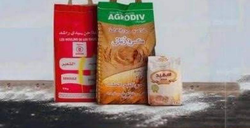 النسخة المصغرة