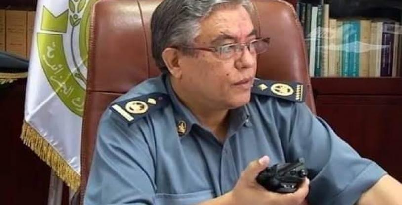النسخة المصغرة