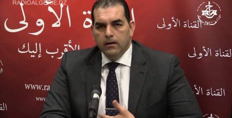 النسخة المصغرة