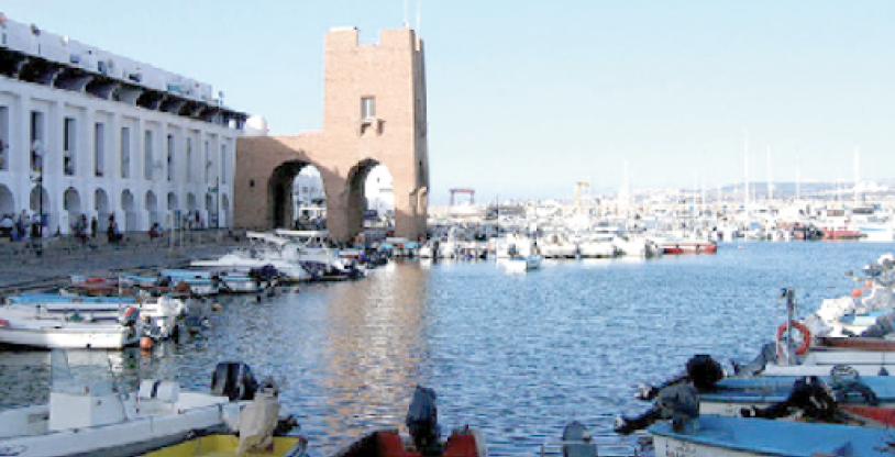 النسخة المصغرة