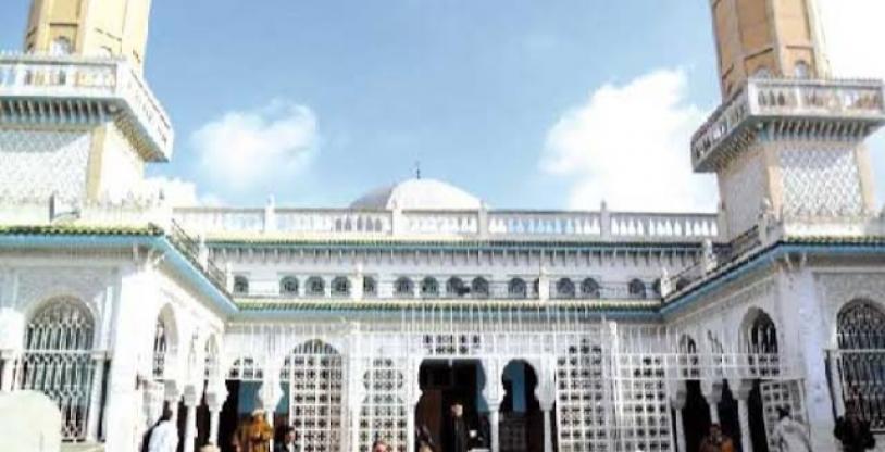 النسخة المصغرة