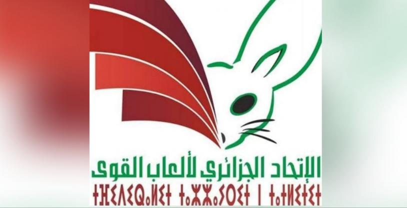 النسخة المصغرة