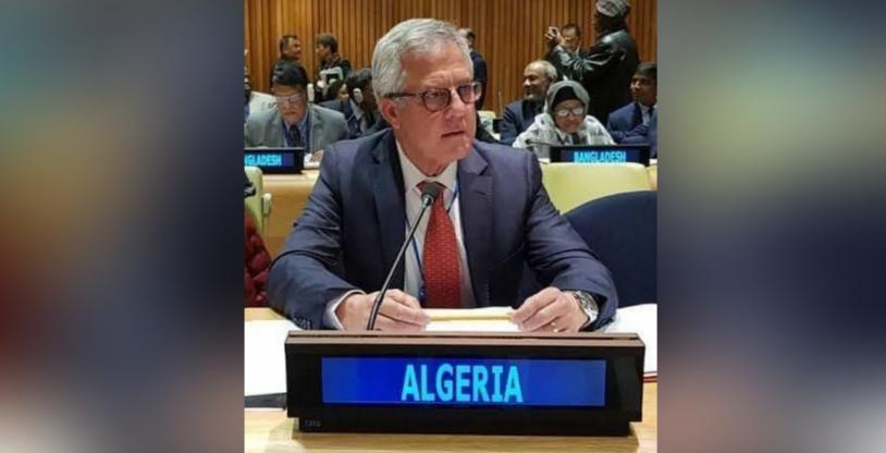 النسخة المصغرة