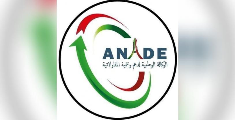النسخة المصغرة