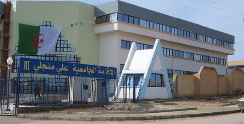 النسخة المصغرة