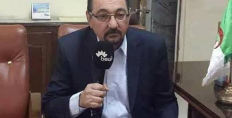 النسخة المصغرة