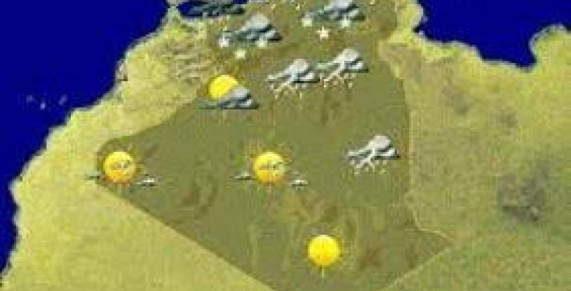 النسخة المصغرة