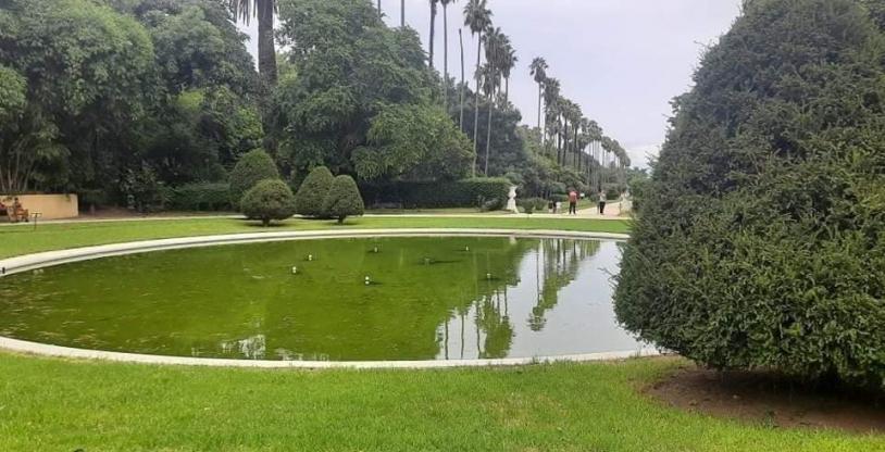 النسخة المصغرة