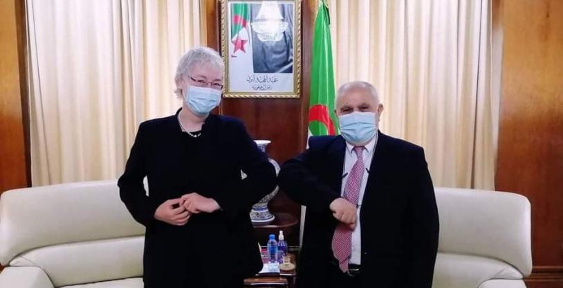 النسخة المصغرة
