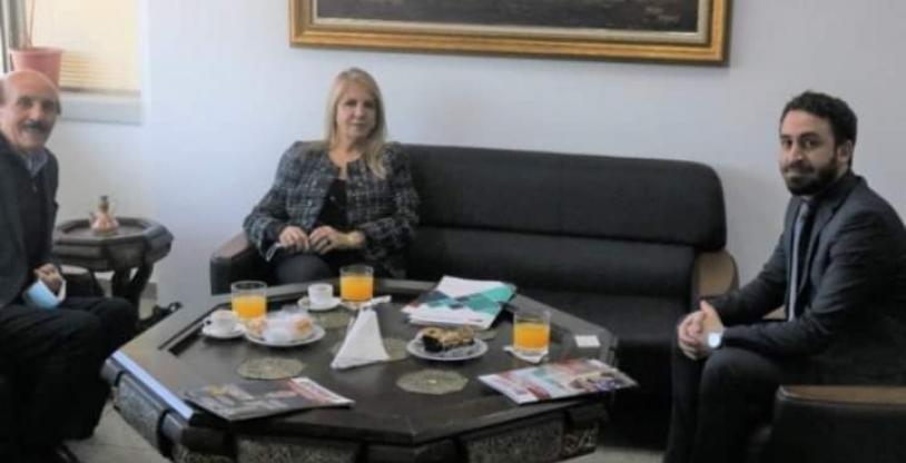 النسخة المصغرة