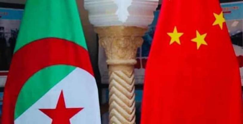 النسخة المصغرة