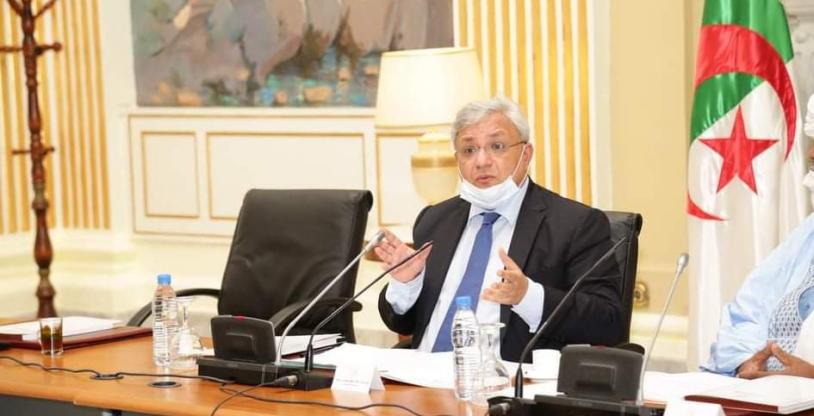النسخة المصغرة