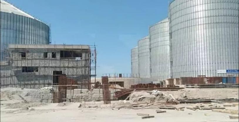 النسخة المصغرة