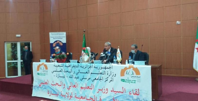 النسخة المصغرة