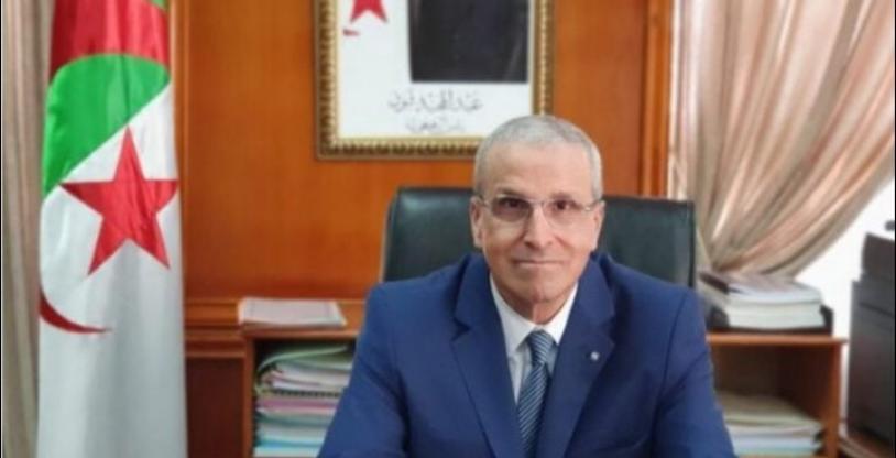 النسخة المصغرة