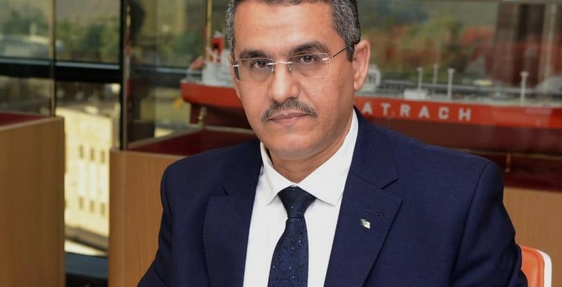 النسخة المصغرة