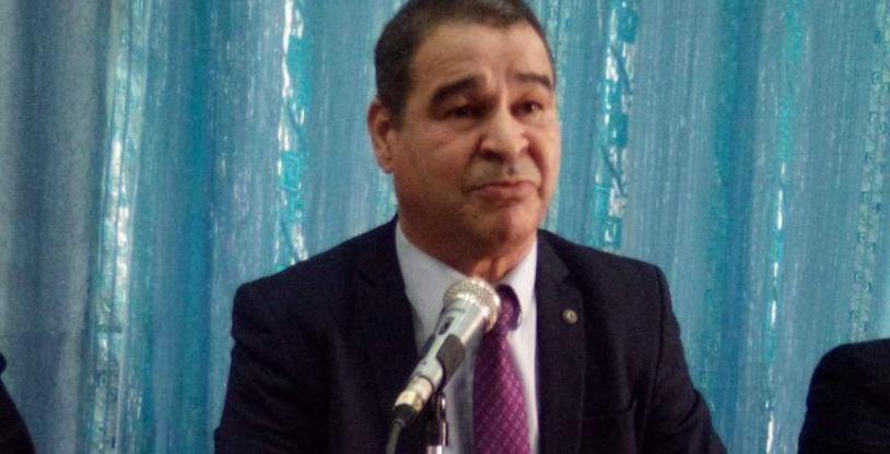 النسخة المصغرة