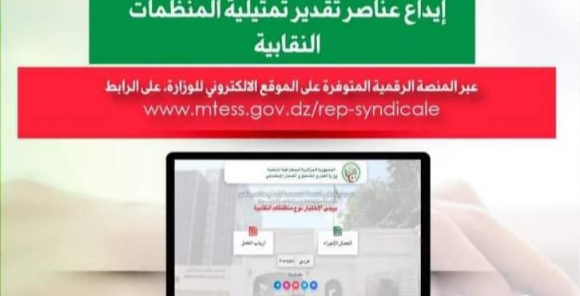 النسخة المصغرة