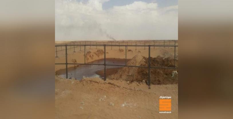 النسخة المصغرة