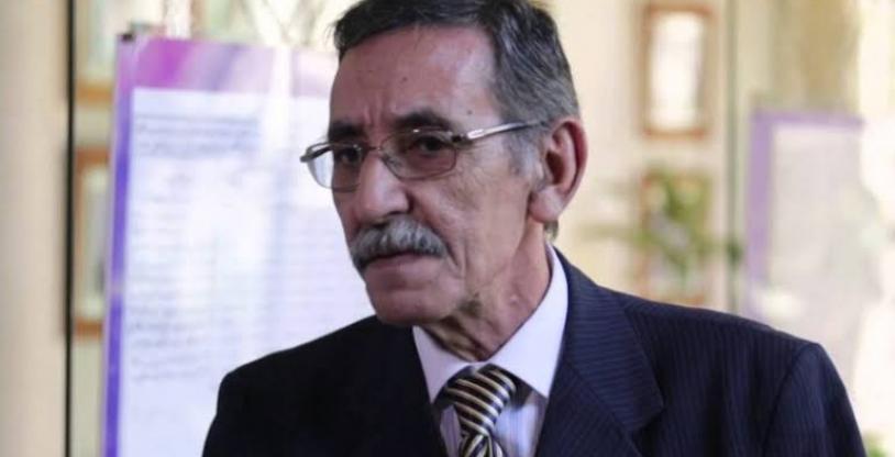 النسخة المصغرة