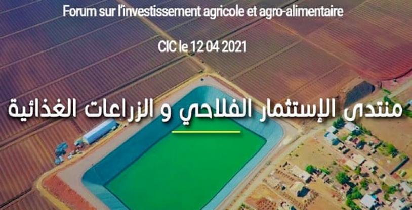 النسخة المصغرة