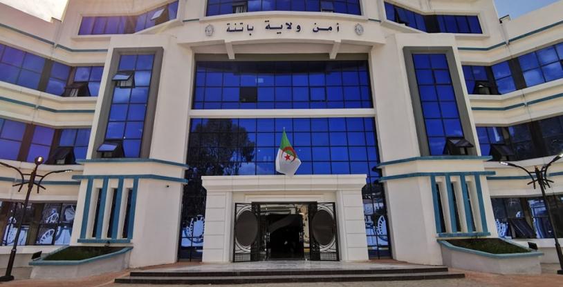 النسخة المصغرة