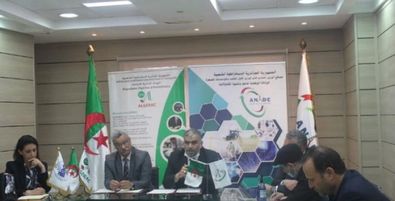 النسخة المصغرة