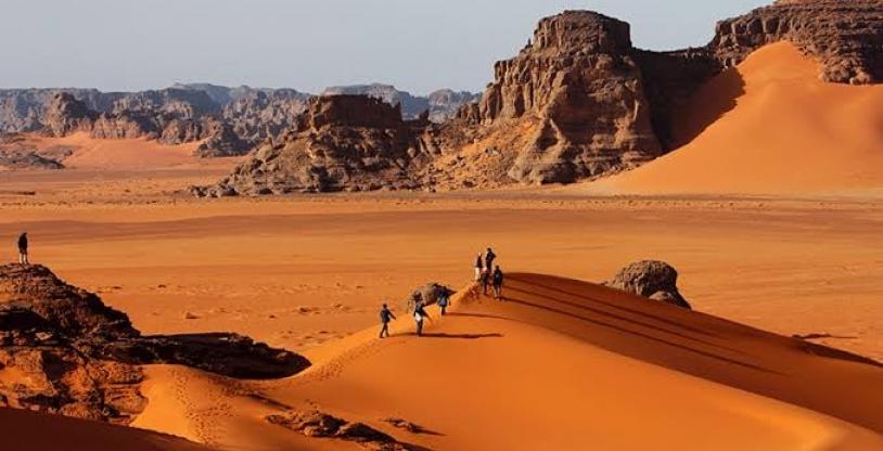 النسخة المصغرة