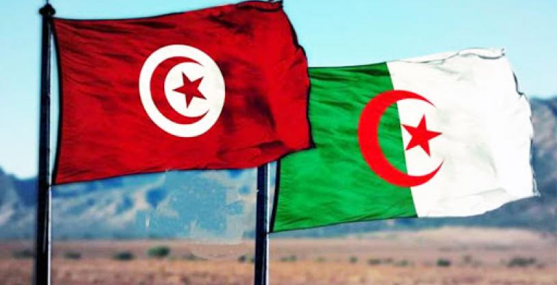 النسخة المصغرة