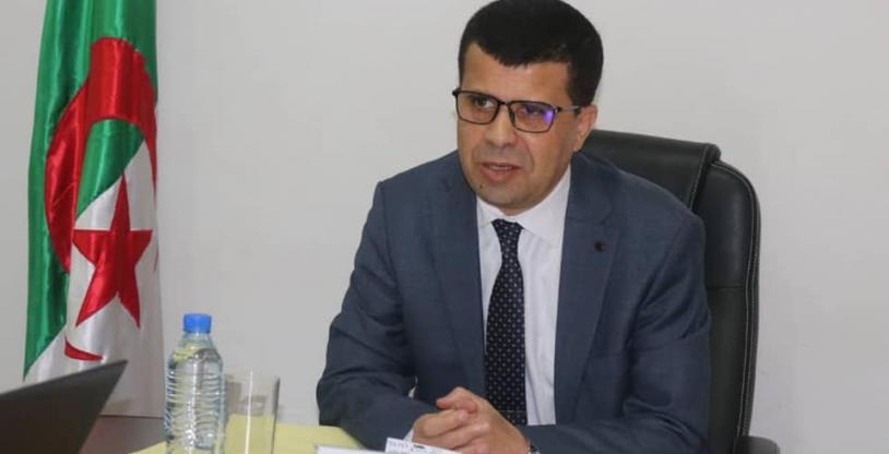 النسخة المصغرة