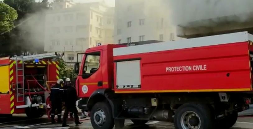 النسخة المصغرة