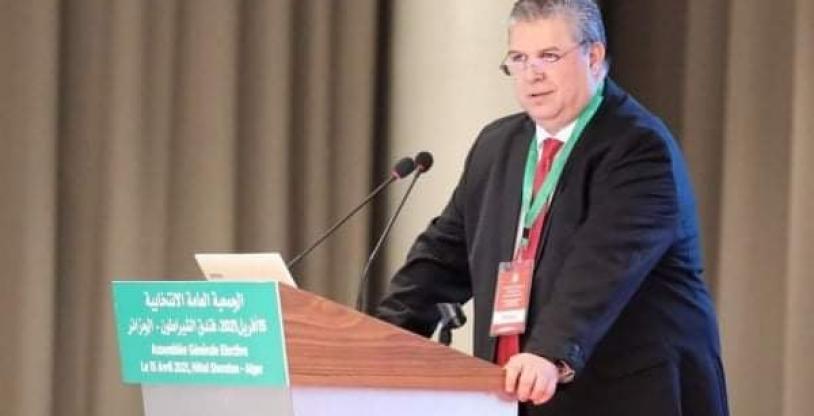 النسخة المصغرة