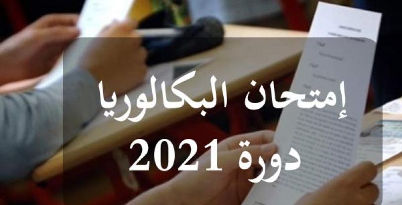 النسخة المصغرة