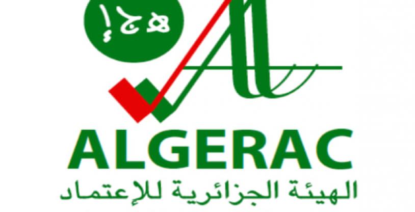 النسخة المصغرة
