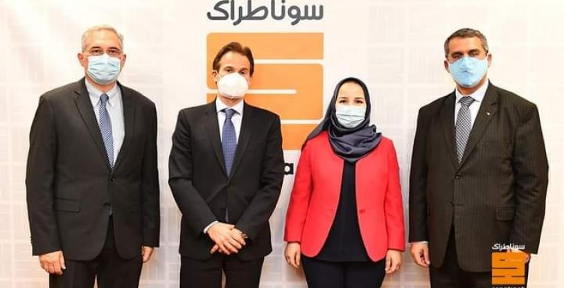 النسخة المصغرة