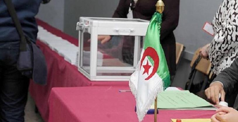 النسخة المصغرة