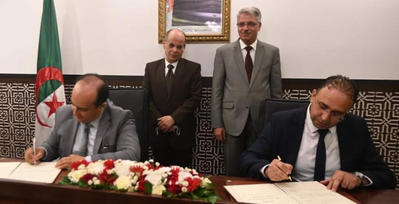 النسخة المصغرة