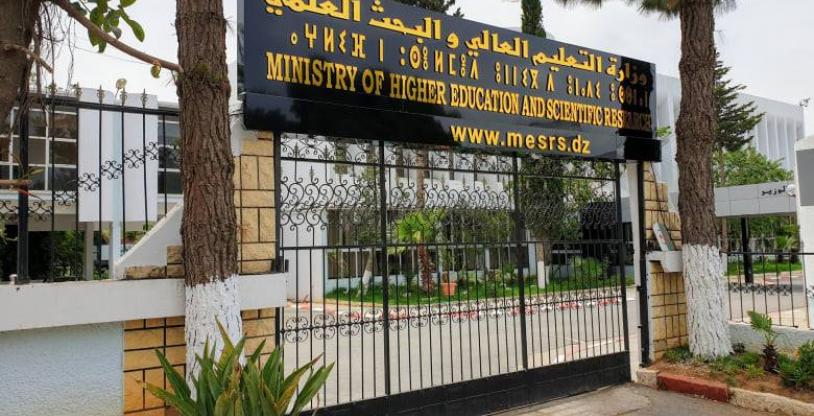النسخة المصغرة